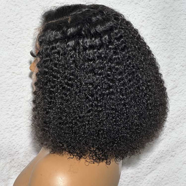 Super Full Glueless Wig Afro Kinky Curly Wig Closure Wigs Human Hair Asteriahair